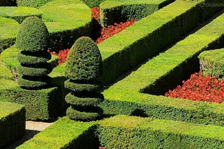 yp街机·电子游戏(中国)最新官网