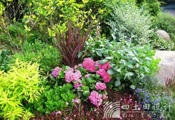 yp街机·电子游戏(中国)最新官网