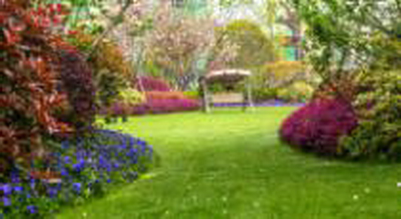 yp街机·电子游戏(中国)最新官网