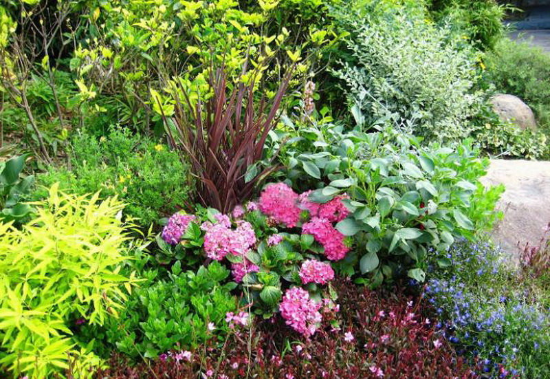 yp街机·电子游戏(中国)最新官网