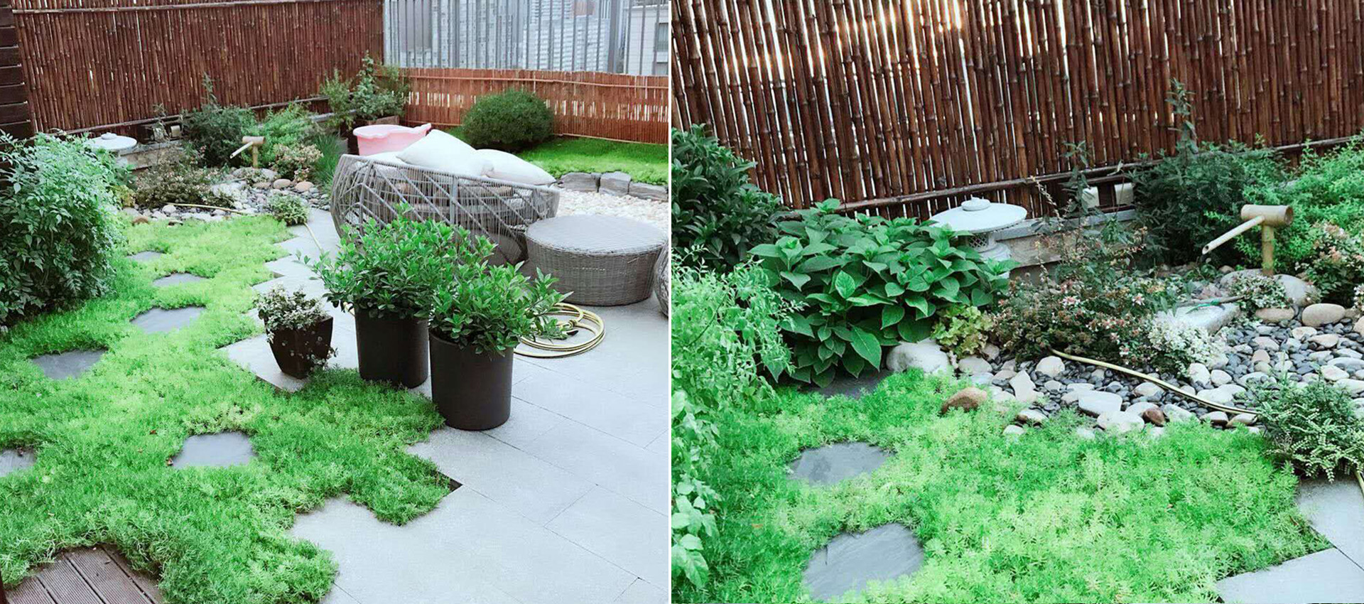 yp街机·电子游戏(中国)最新官网