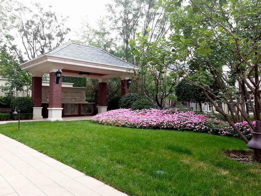 yp街机·电子游戏(中国)最新官网