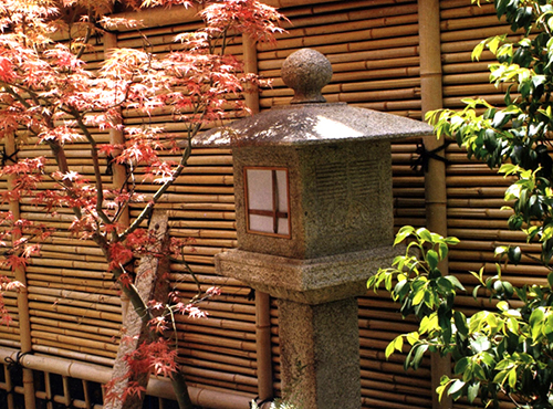 yp街机·电子游戏(中国)最新官网